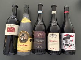 19 Wein Flaschen Faustino, Zeni, Roncaia