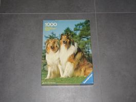 Ravensburger Puzzle 1000 Teile Collie Hunde