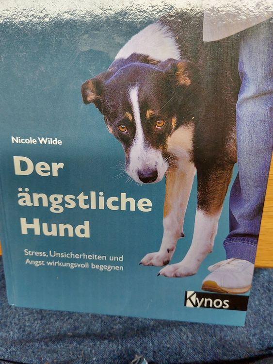 Hunde-Warnweste „Do Not Pet“ – Für ängstliche Hunde, Größe L (18–32 Kg), Beidseitig Bedruckt