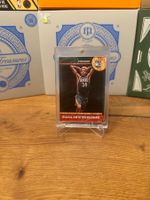 Giannis Antetokounmpo RC Panini 2013