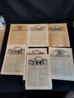 Konvolut antike Zeitungen Das Heimchen, antike Zeitungen
