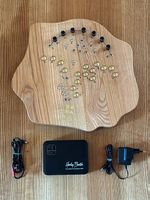 SOMA Terra Synthesizer + Harley Benton PowerBank