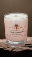 The English Soap Company Duftkerze Lemon & Mandarin