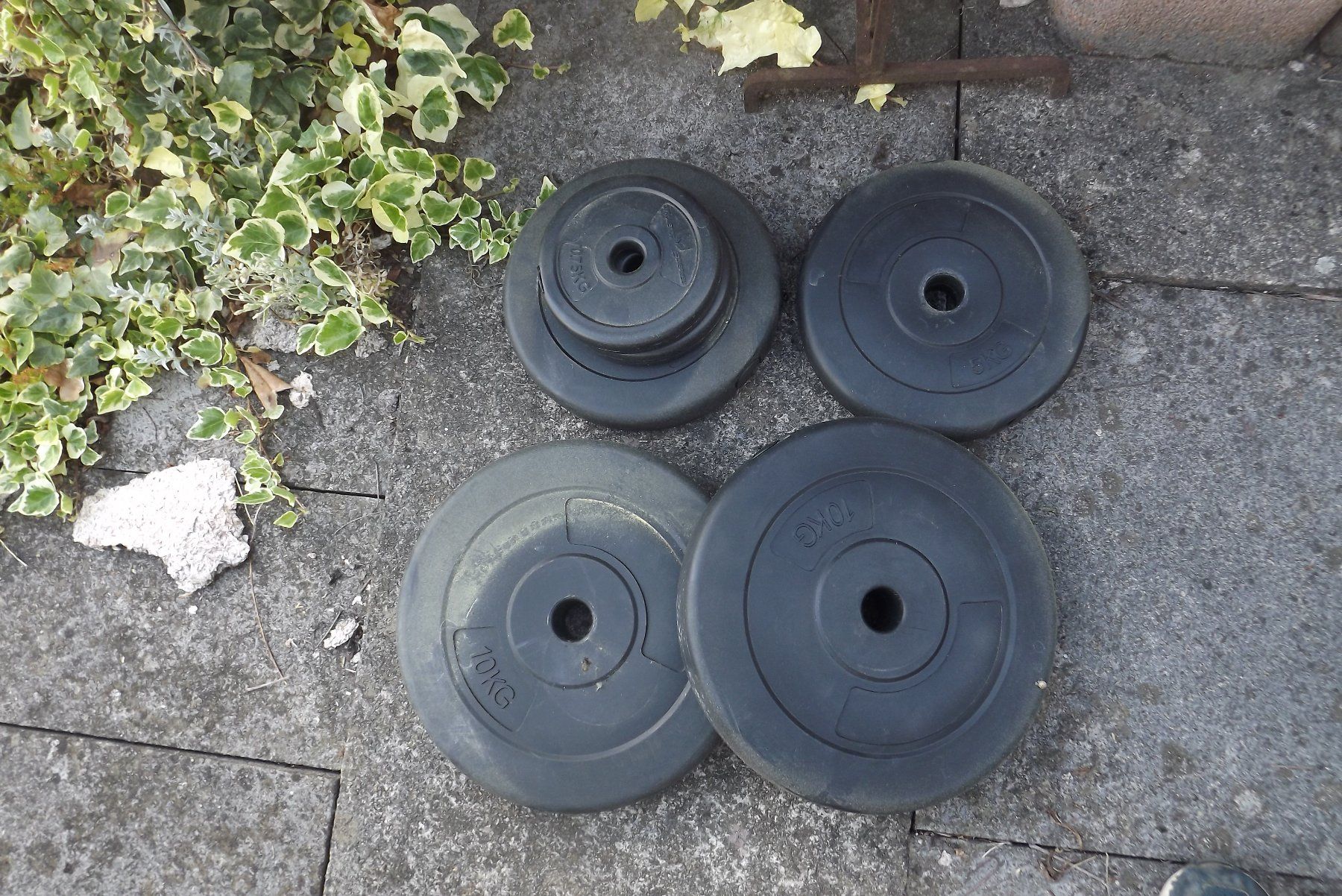Hometrainer: Hantelbank mit Gewicht – Usato da Hittnau venduto da Szekler 1