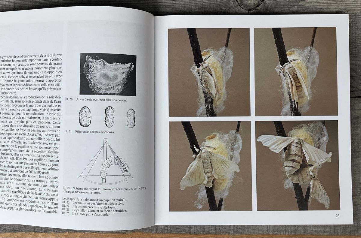 Libri: La Soie - livre suisse – Usato da Euseigne venduto da so.ART 1