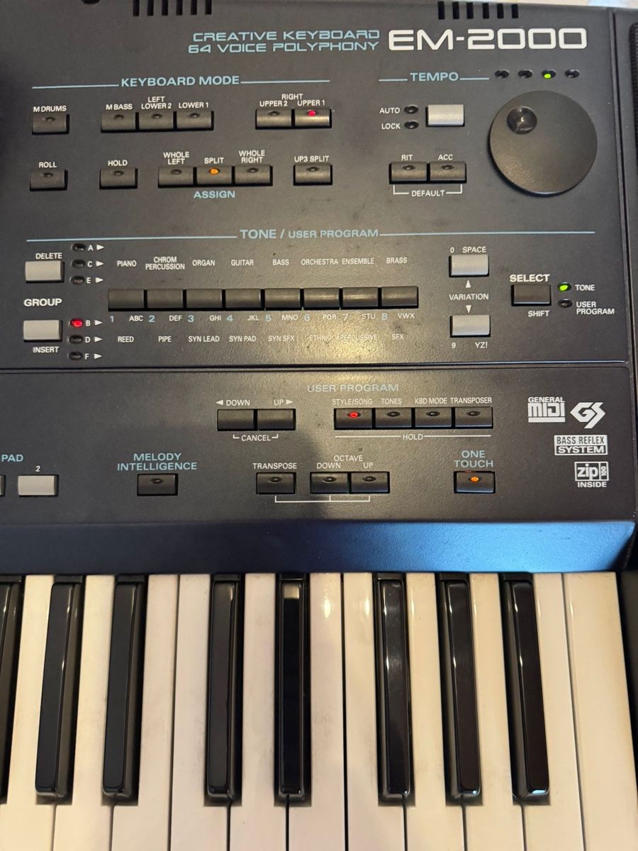 Roland Strumenti musicali: Roland EM-2000 Arranger Workstation Keyboard inkl. Tasche – Usato da Dörflingen venduto da Benz63 3