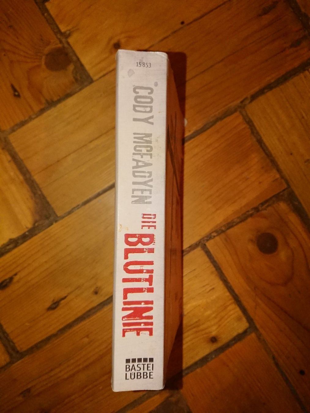 Livres: Buch Die Blutlinie – D'occasion à Wittenbach par Aberanders 2