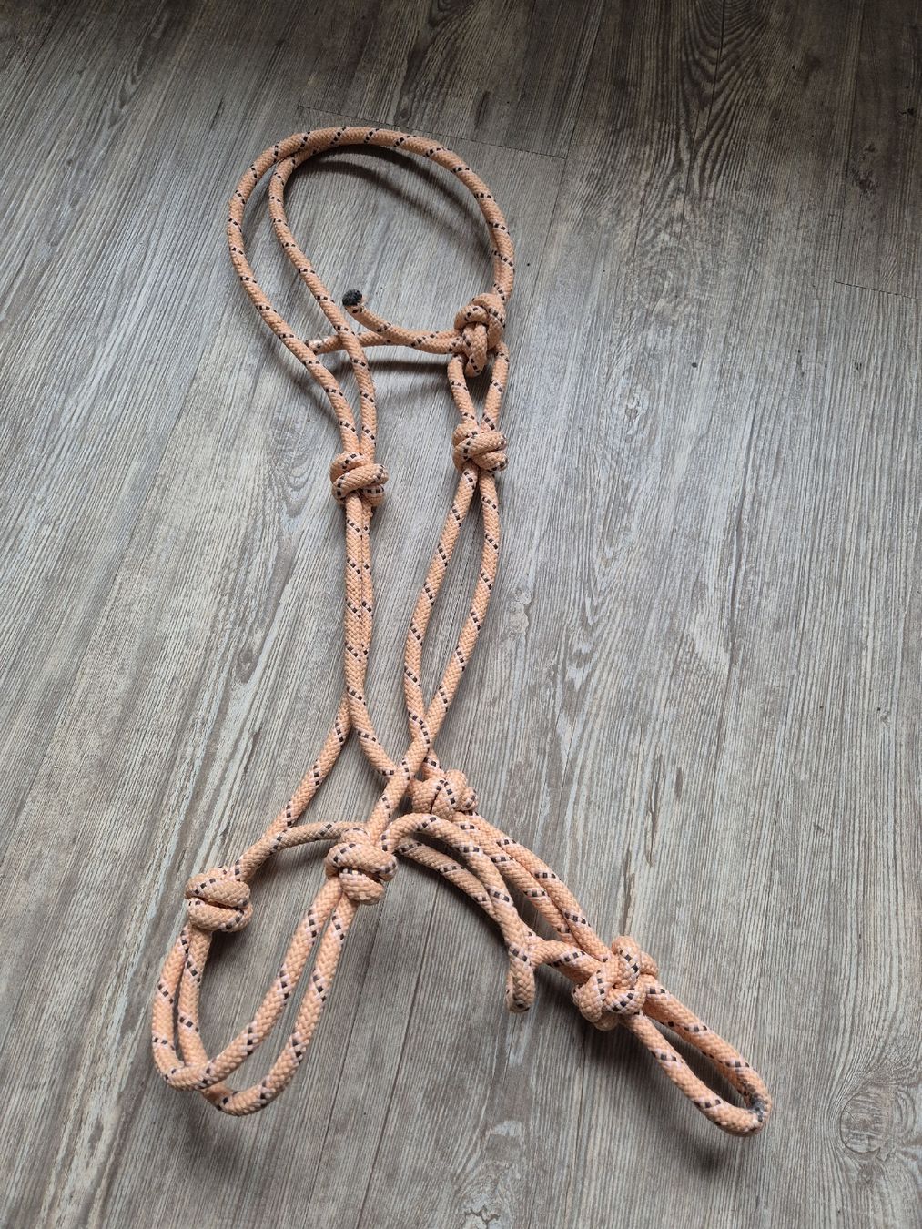 Briglie & Cavezze: Knotemhalfter Grösse COB NEU – Nuovo (secondo la descrizione) da Aarberg venduto da S.Heimberg