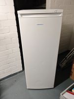 Tiefkühler Kibernetik TK161L