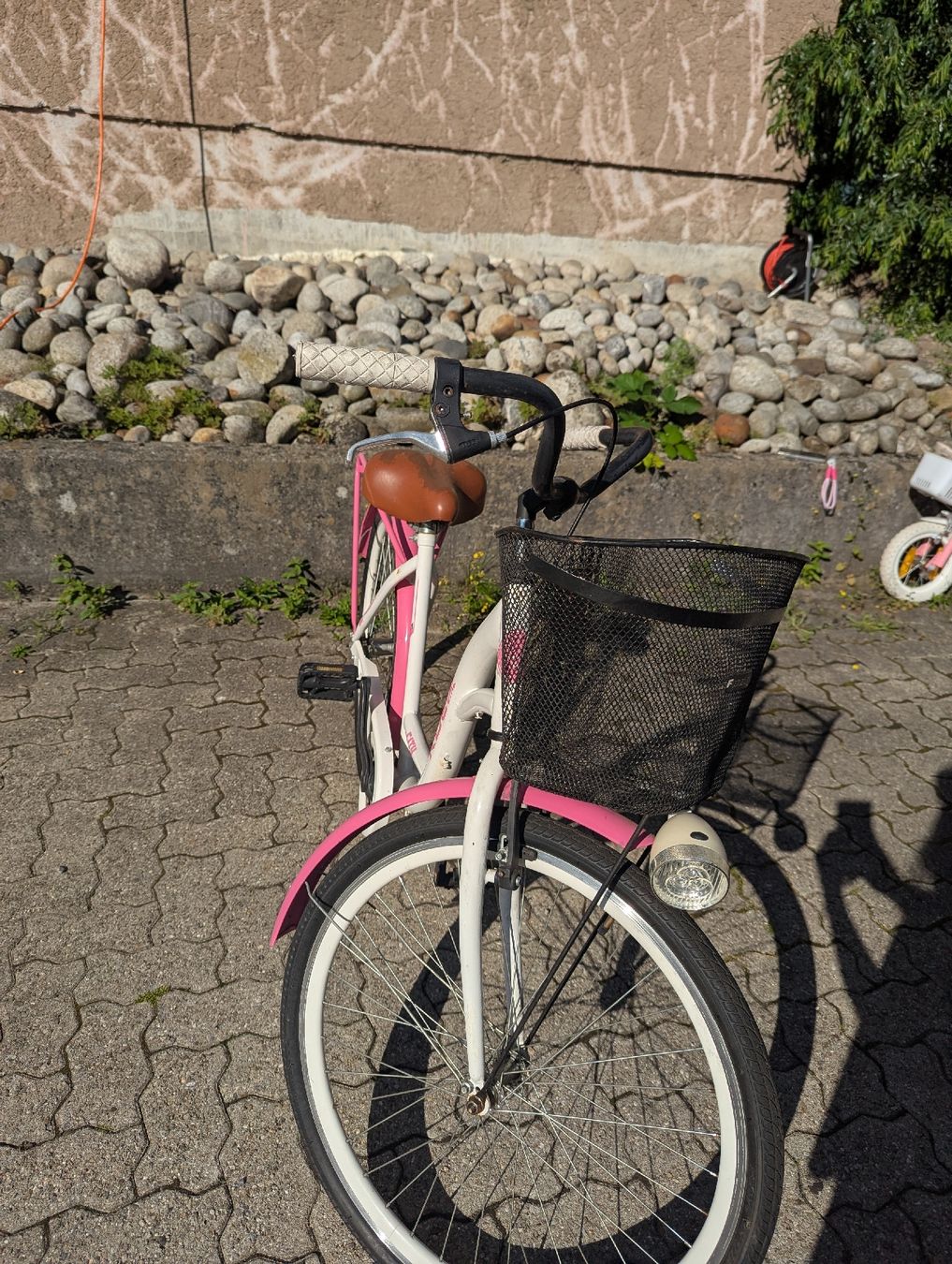 Biciclette: Frauen velo – Usato da Brienz BE venduto da bar_xf2d 4