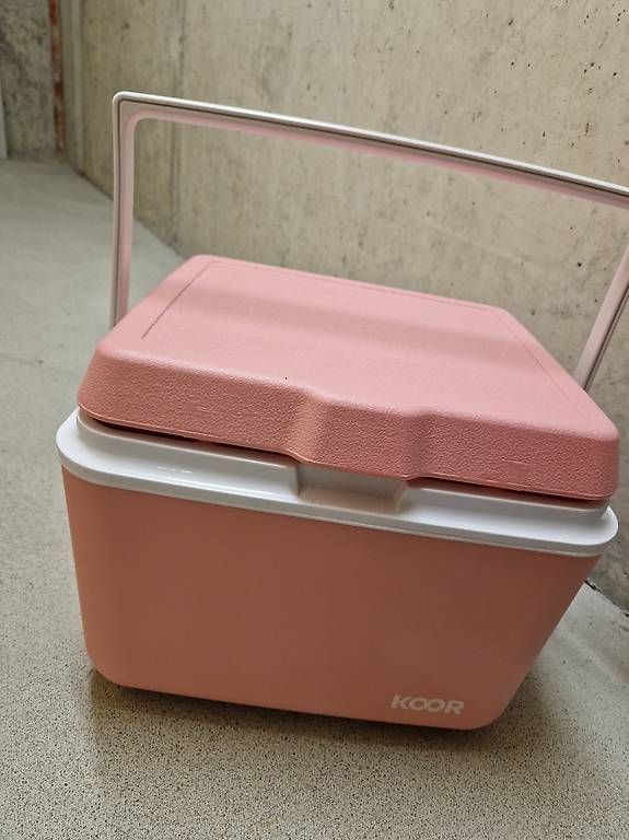 Frigoriferi & Refrigeratori: Kühlbox pink, 25l – Usato da Kehrsatz venduto da McYuli 3