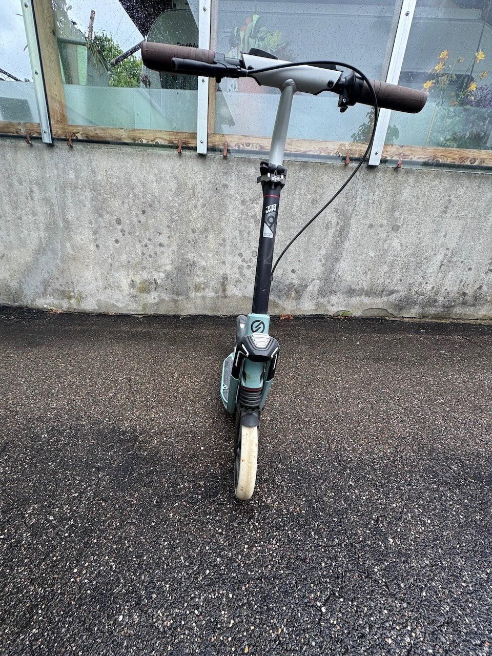Kickboard: Gefedertes Kickboard – Usato da Walliswil b.Wangen venduto da jara02 1