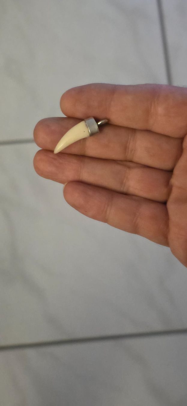 Anhänger: Anhänger Silber 925/Knochen in Zahnform – Neu (gemäss Beschreibung) aus Fislisbach von Eye-Arts 3
