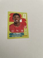 FIFA WM 2026 Breel Embolo SUI 17