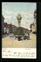 AK Bern, Brunnen am Bärenplatz, 1905
