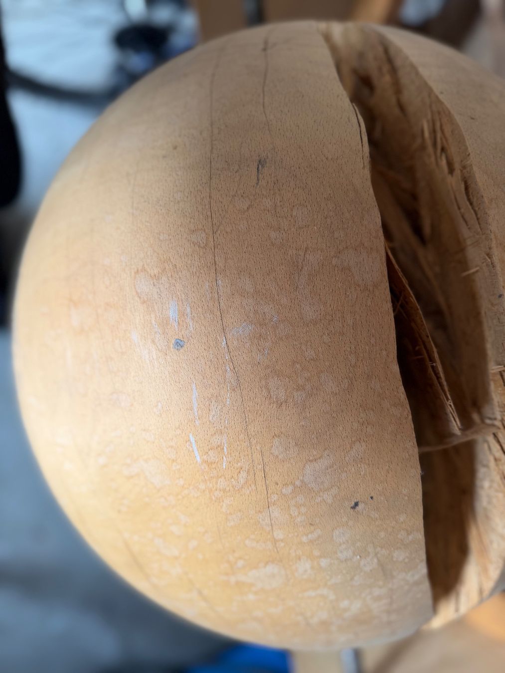 Articoli in legno: Holzkugel Esche; 50cm; roh, – Nuovo (secondo la descrizione) da Wildberg venduto da Melramos04 9