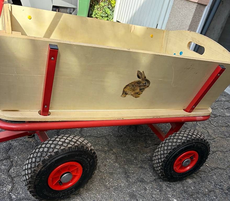 Fahrzeuge für Kinder: Bollerwagen – Gebraucht aus Reinach BL von Steinii 2