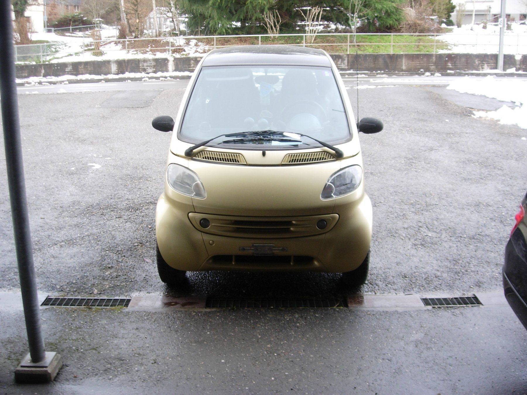 Smart Automobili: Smart    Goldfinger – Difettoso da Hagneck venduto da Simu696 1