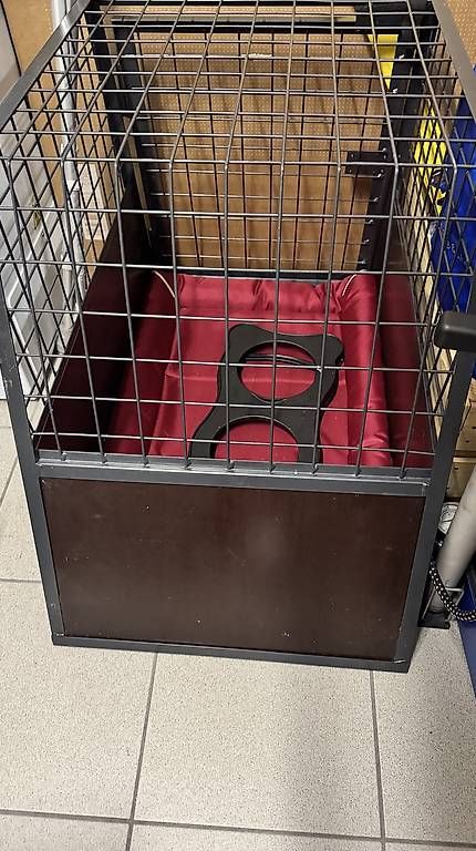 Gabbie, trasporto & Sicurezza: Gabbia per cane piccola taglia – Usato da  venduto da  2