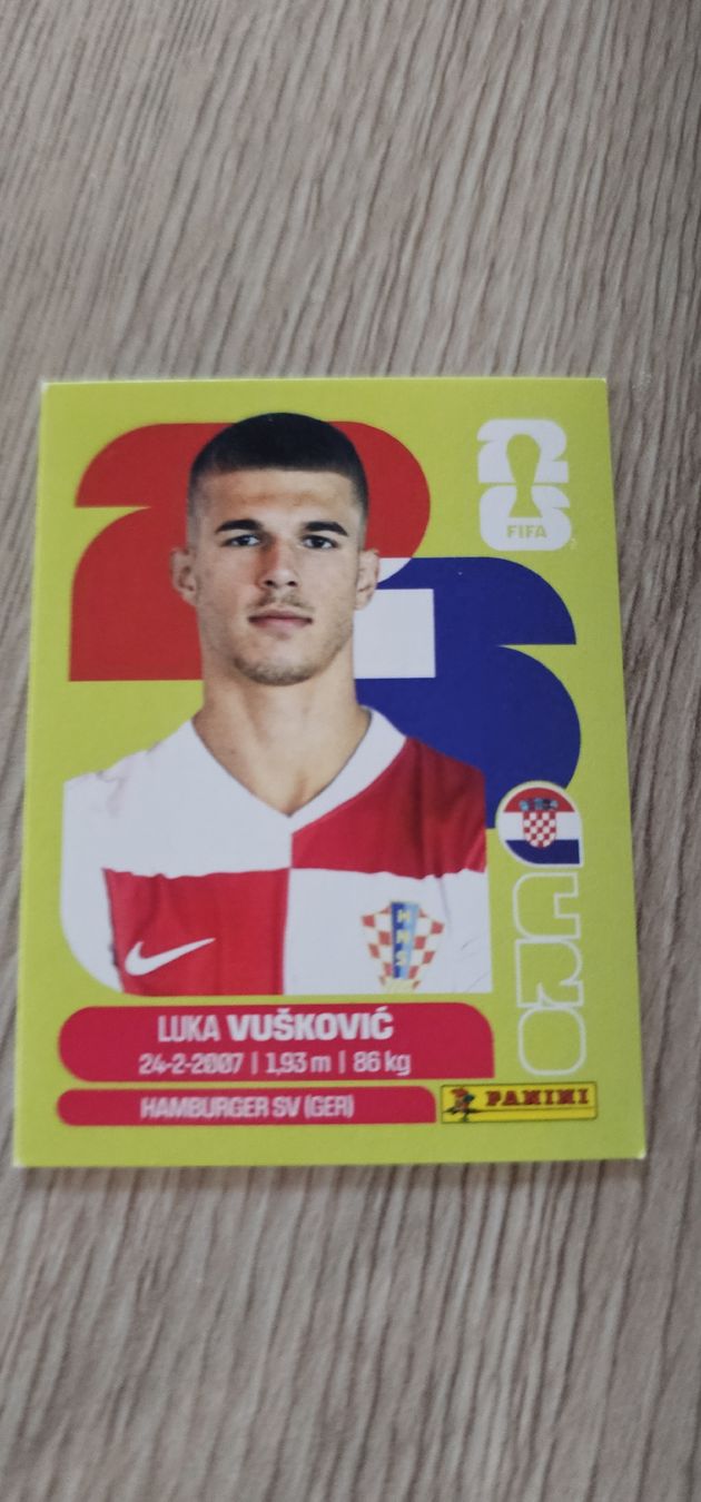 Panini Carte collezionabili: Fifa World Cup Panini CRO 6 – Nuovo e nell'imballaggio originale da Biel VS venduto da volcom8702
