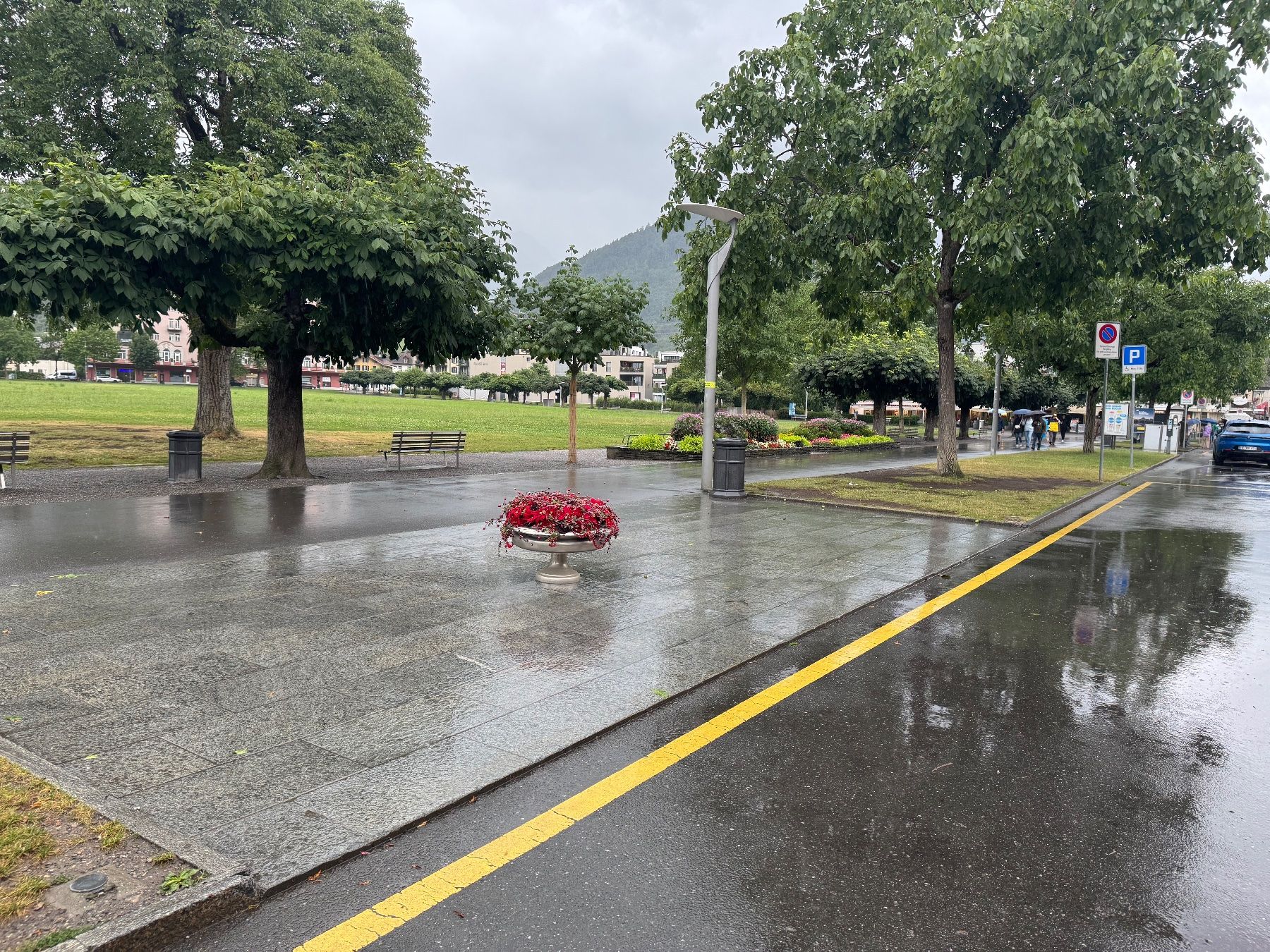 Vasi per fiori: Designer Grosse Topf mit Blumen Lieferung Gratis – Usato da Thun venduto da Thuno6 1