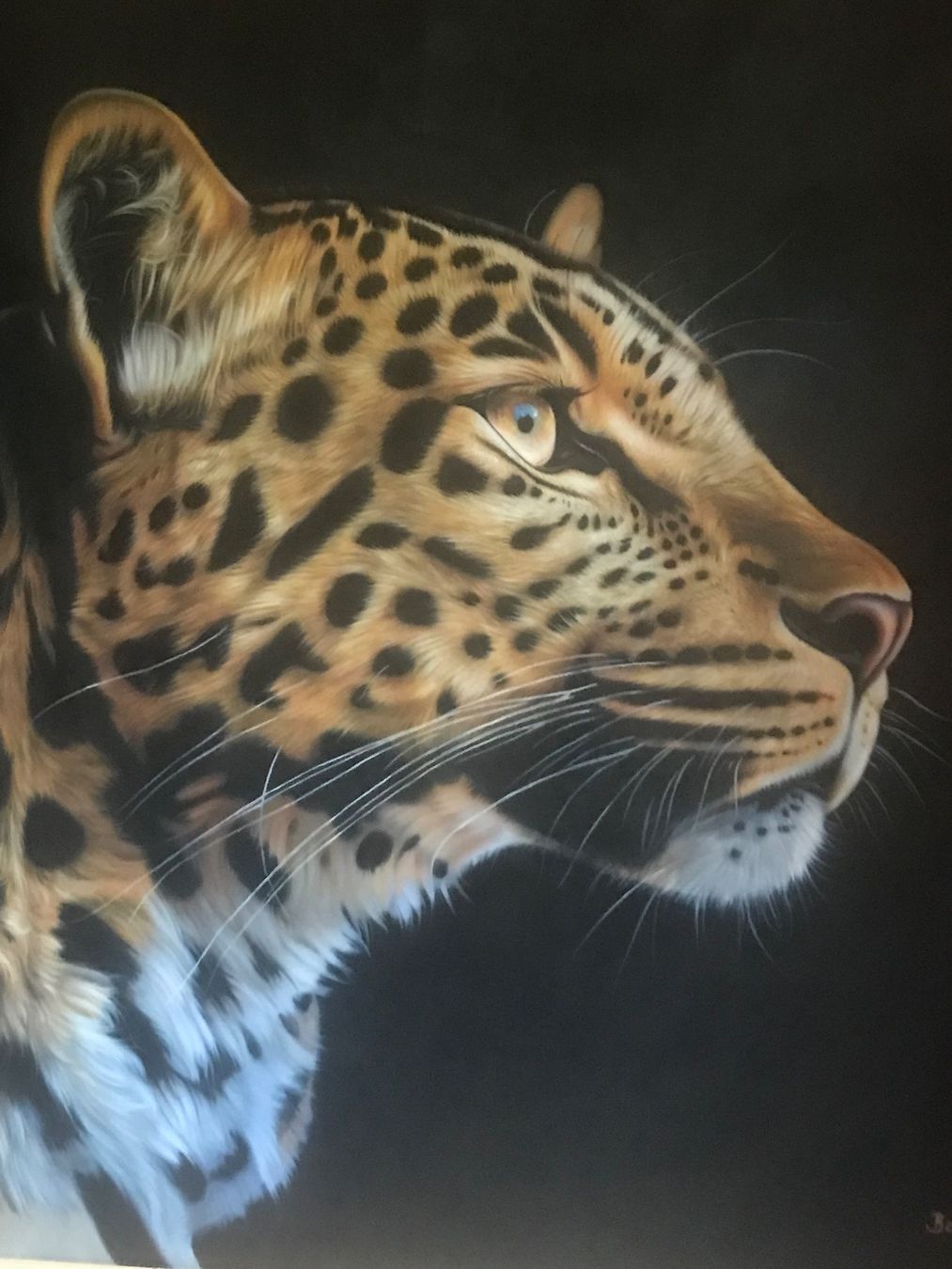 Tableaux: Leopard handgemalt Bousie – D'occasion à Eichberg par Ranney 1