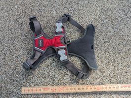 Red Dingo Hundegeschirr rot / grau, gepolstert & verstellbar