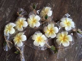 NEU! 9 Frangipani Kerzen