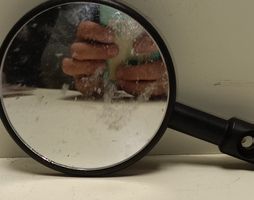 Lustiger Spiegel mit Wurst-Reflexion - (em54)