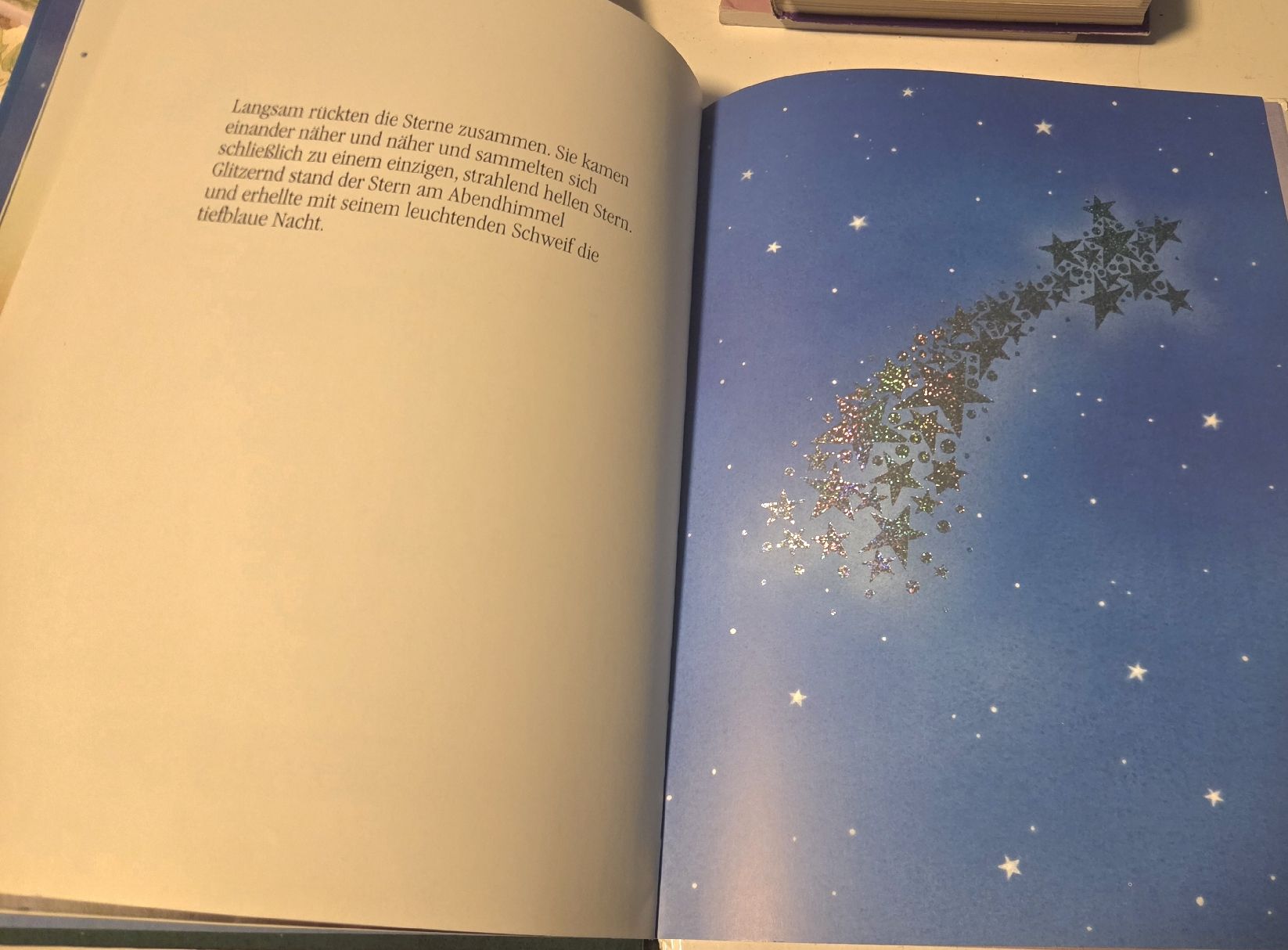 Libri: Erzählbuch Der Weihnachtsstern – Usato da Wetzikon ZH venduto da strubeli444 1
