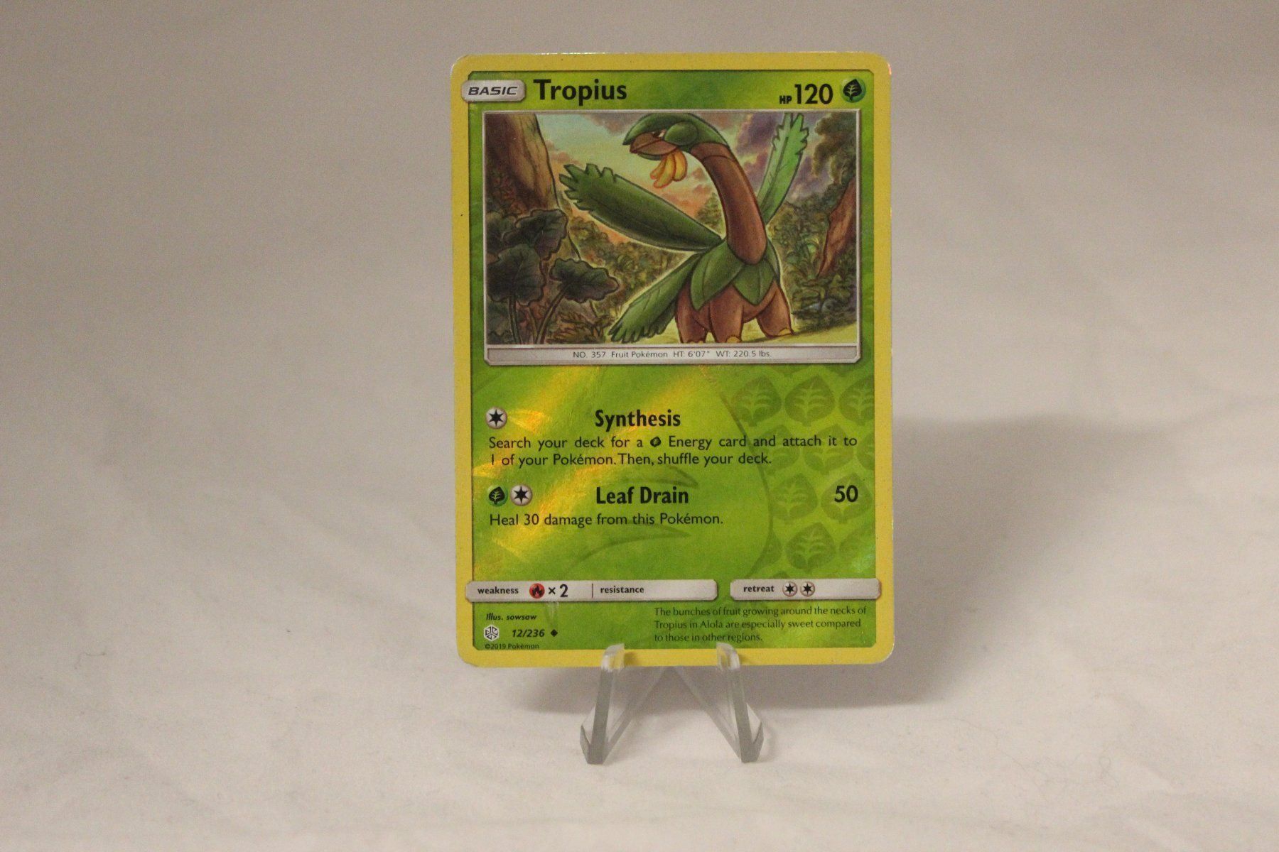 Pokémon Sammelbilder & Trading cards: Tropius RH - Pokemon Card – Gebraucht aus Dulliken von Sefty