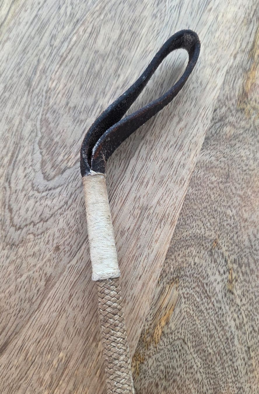Autres accessoires pour animaux: Reitgerte Leder mit Kordel – D'occasion à Rheinsulz par Dred 1