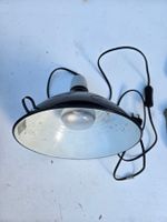 Lampe chauffante et abreuvoir pour terrarium