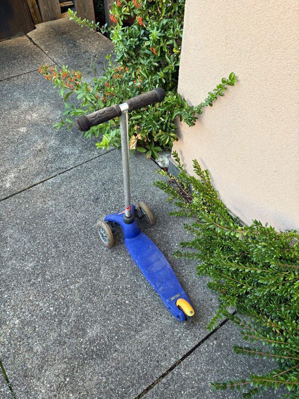 Micro Kickboard: Micro Trottinett Blau – Usato da Schaffhausen venduto da Manuobelhofer 1