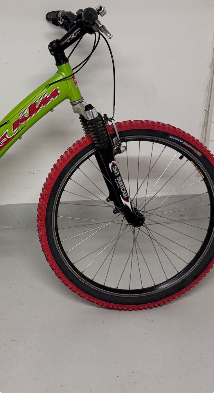 KTM Biciclette: KTM Beta Mountainbike (Grösse M) – Usato da Dielsdorf venduto da Lea.Jeremy 5