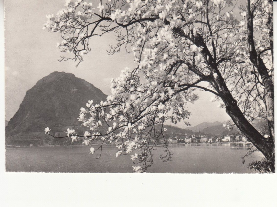 Ansichtskarten: Lugano 1960 – Gebraucht aus Bürglen TG von StampGraf