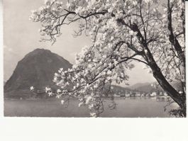 Lugano 1960