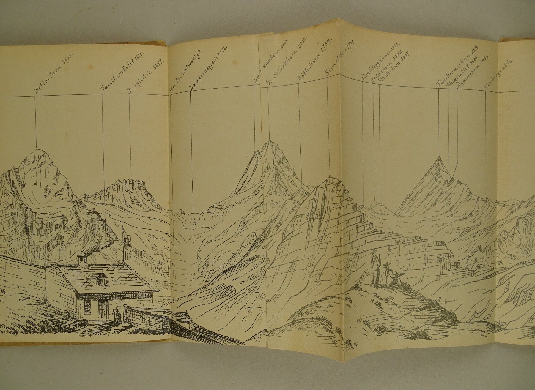 Incisioni: PANORAMA FAULHORN, 1890, BERN – Usato da Grüningen venduto da Kartensammler 6