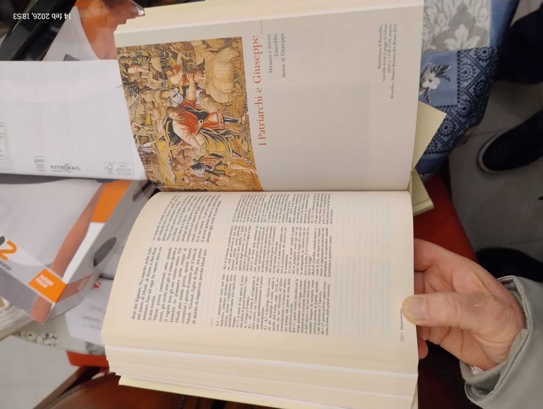 Libri: la Bibbia – Nuovo (secondo la descrizione) da Quartino venduto da abb_c9tx 5