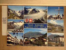 AK von Fiesch Kühboden Eggishorn