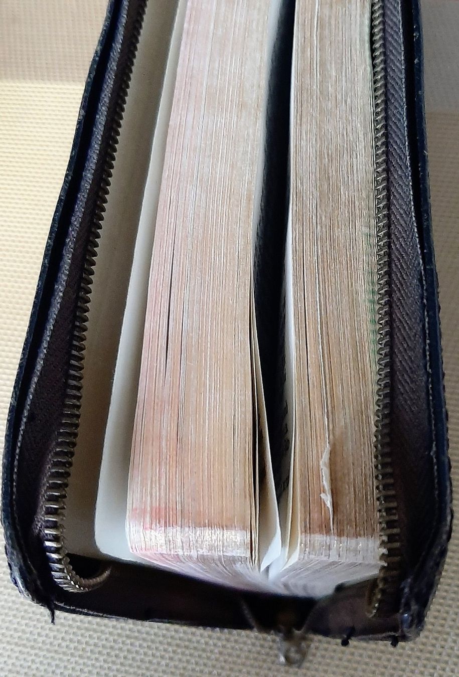 Libri: Bibel Wien 1951 – Usato da Zürich venduto da Zurich 9