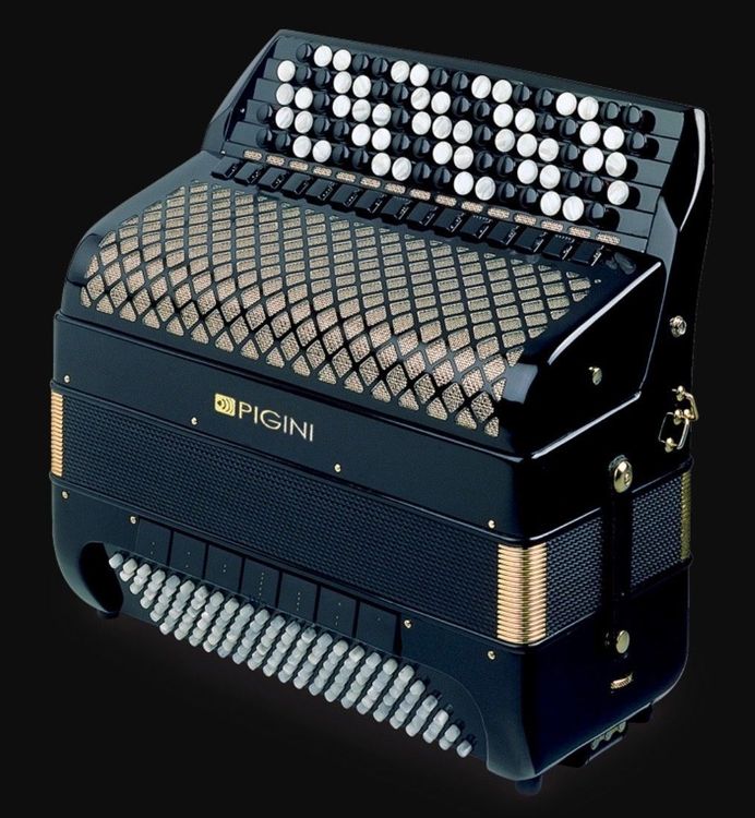 Pigini super online king accordion