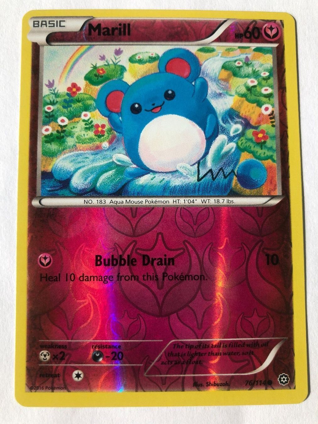 Pokémon Carte collezionabili: Marill - Reverse Holo - TCG Pokemon – Nuovo (secondo la descrizione) da Nussbaumen AG venduto da Pika-Shop