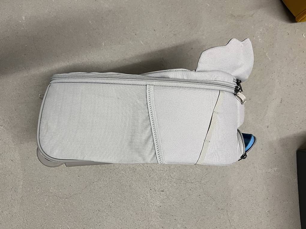 Valigie: Affenzahn Rollkoffer Karla Koala – Usato da Möriken AG venduto da Cmanchester 4
