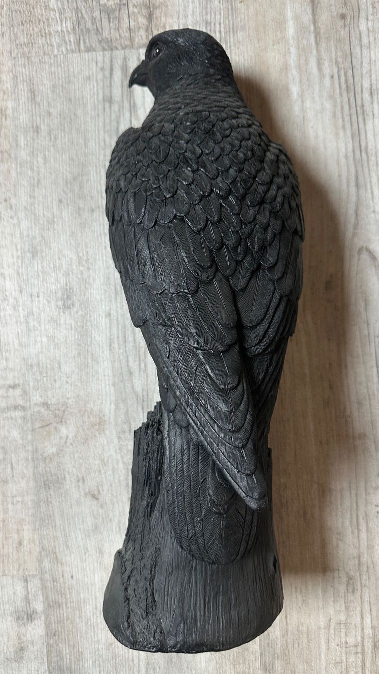 Skulpturen & Statuen: Schwarzer Raubvogel, Skulptur, Figur, Garten Deko – Gebraucht aus Arisdorf von nde_q52j 3