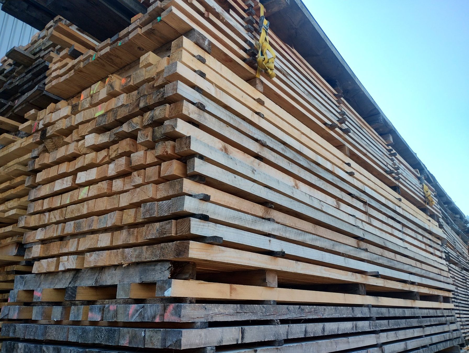 Articoli in legno: Latten 6/8cm 5.0m CH-Holz – Nuovo (secondo la descrizione) da Sattel venduto da Saegewerk 1