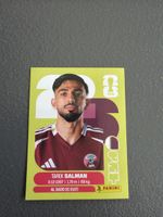 Panini WM2026 QAT8