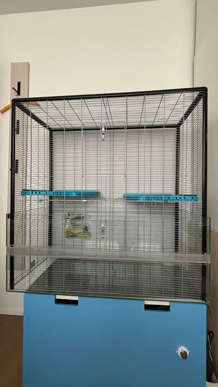 Terrario: Terrarium für Nager – Usato da Rudolfstetten venduto da teddy1001