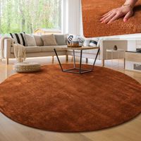 50% Rabatt!  DIVERSE FARBEN XXL Teppich Super Soft 200 cm
