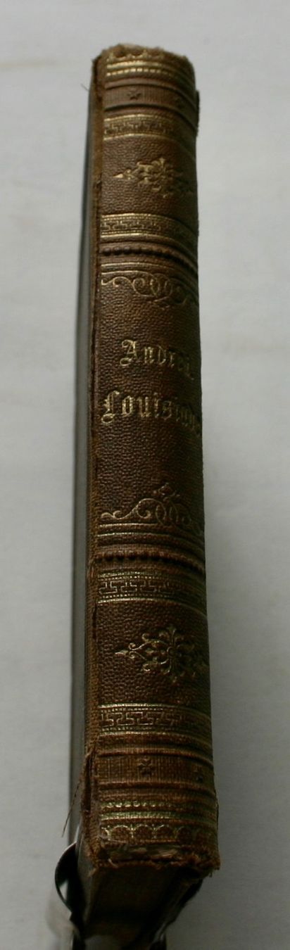 Libri: Die Louisiade oder Napoleon III. – Usato da Winkel venduto da Gallica 1